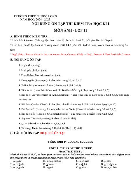 Đề cương ôn tập Học kì 1 Tiếng Anh 11 năm 2024–2025 trường THPT Phước Long (TP Hồ Chí Minh)